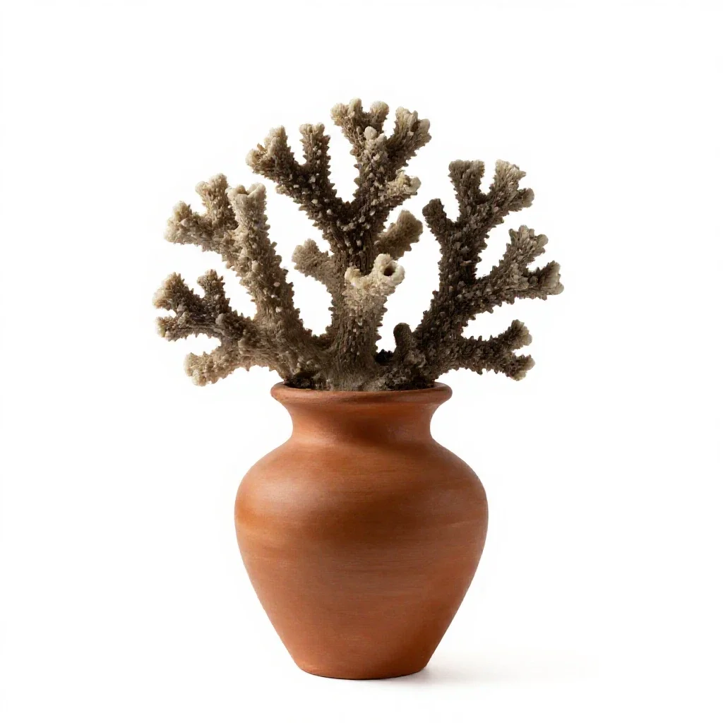 Coral drops isolated on a white background