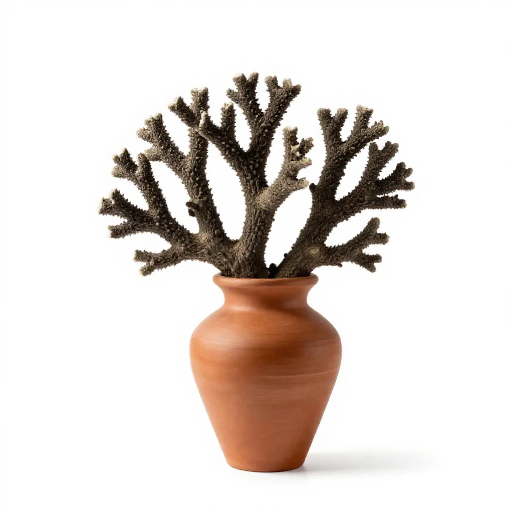 Coral root isolated on a white background