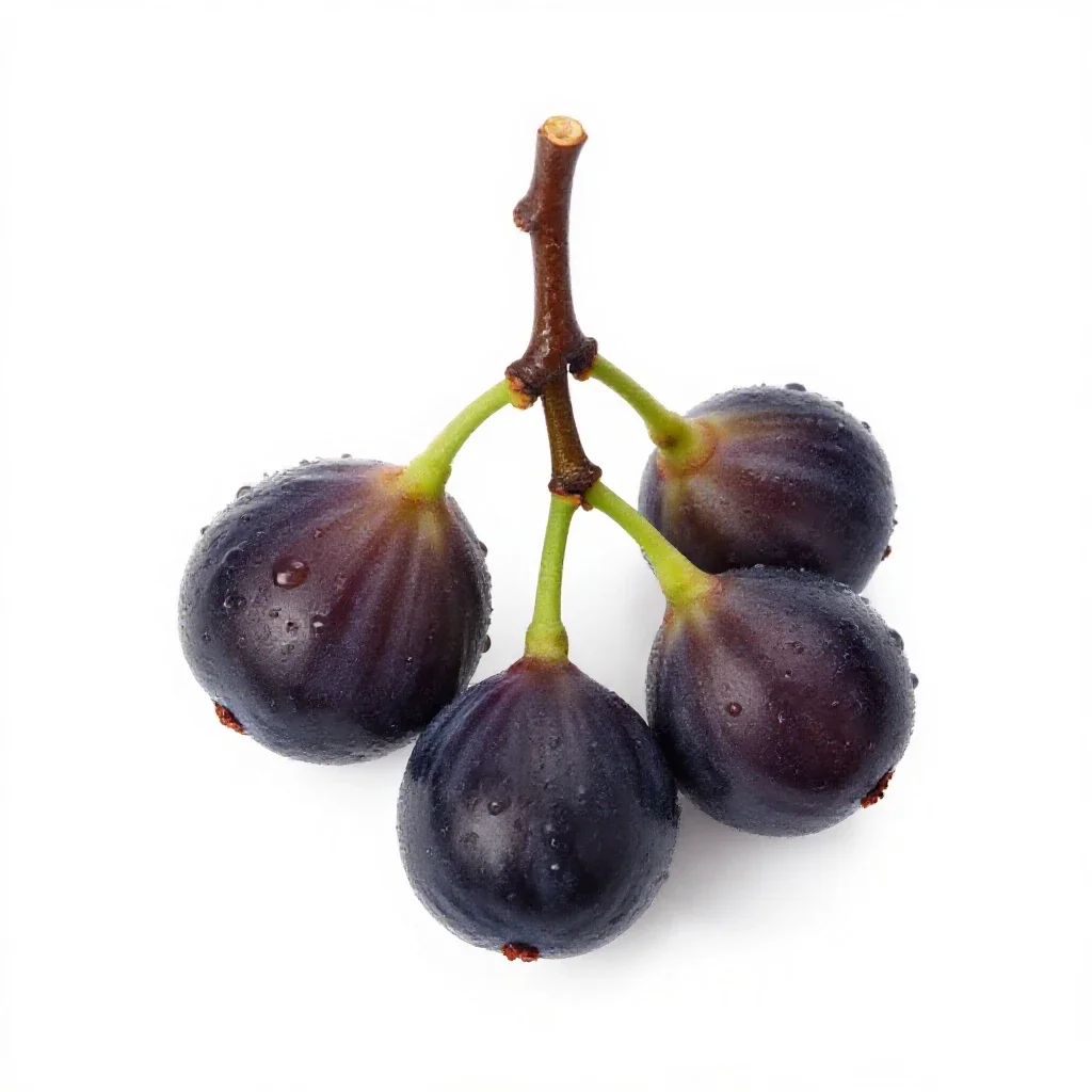 Fig branch with fruit isolated on a white background