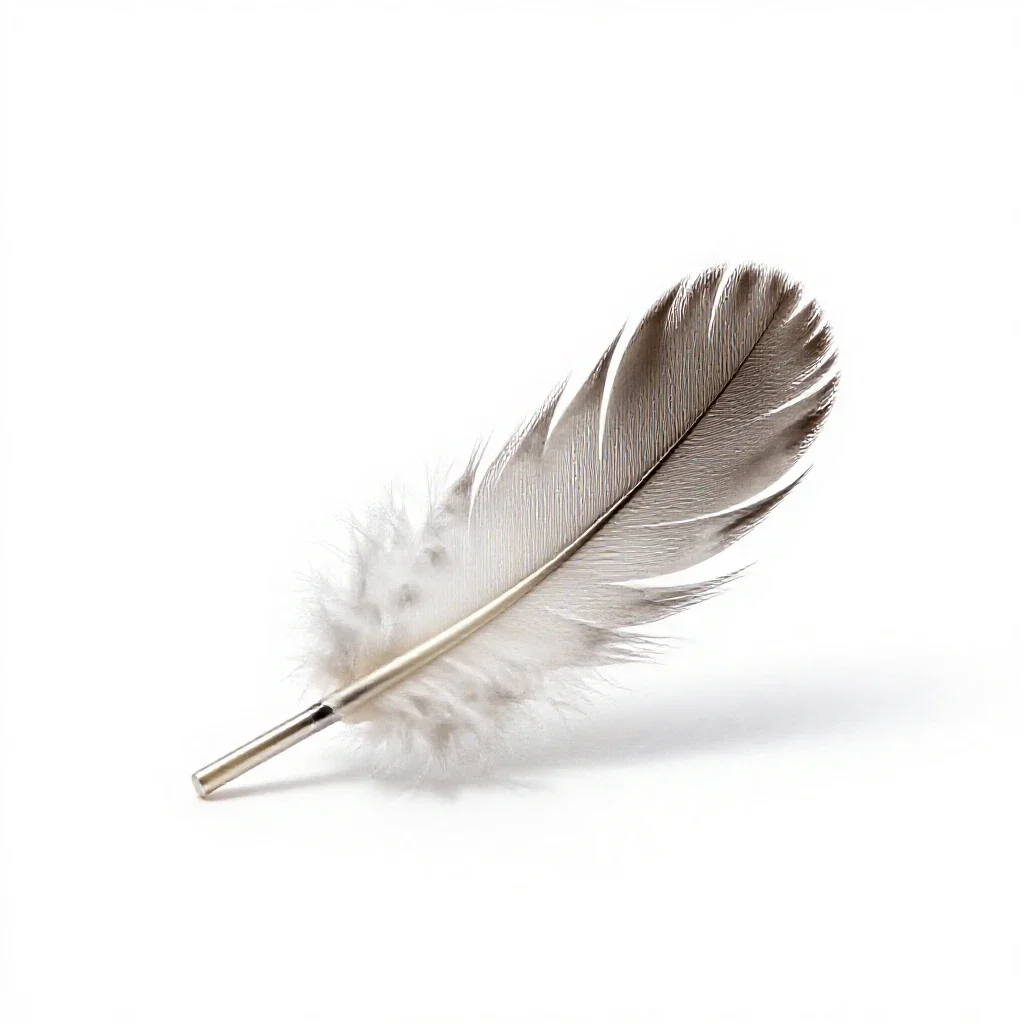 Down isolated on a white background