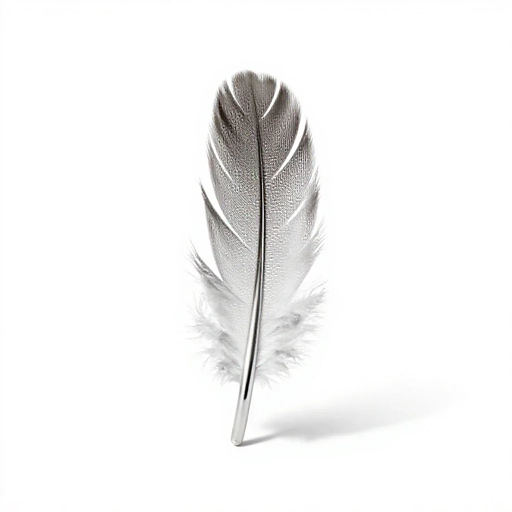 Plumule isolated on a white background