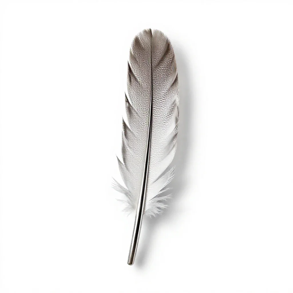 Primary isolated on a white background