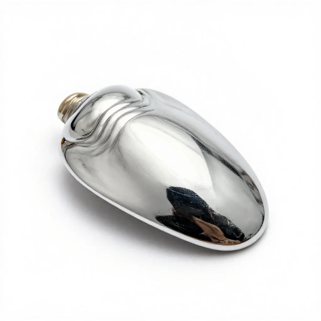Sclerite isolated on a white background
