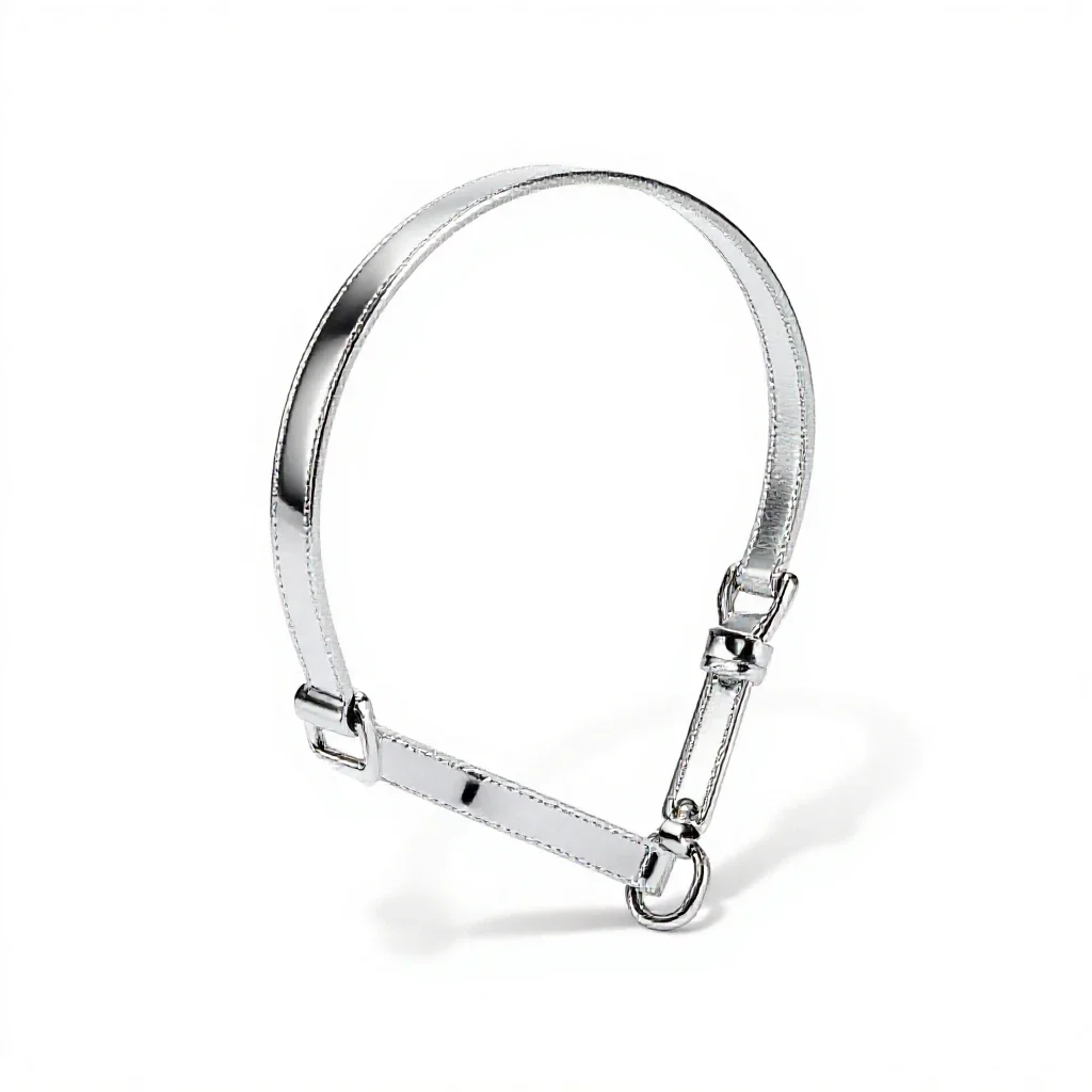 Chin strap isolated on a white background