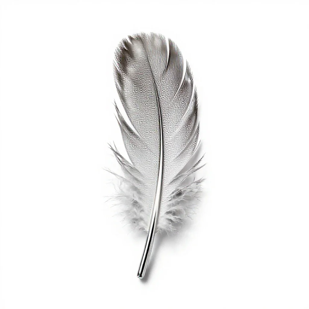 Plume isolated on a white background