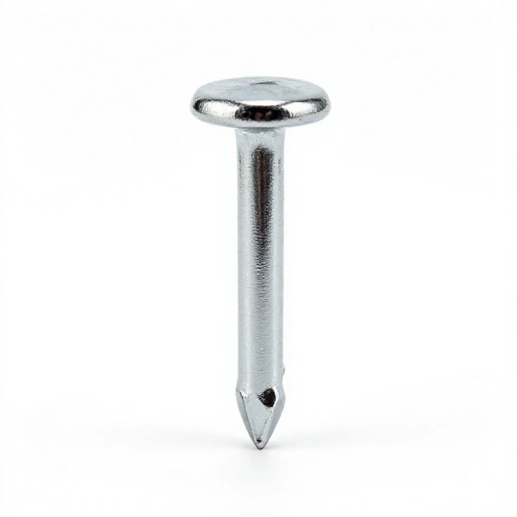 Doornail isolated on a white background