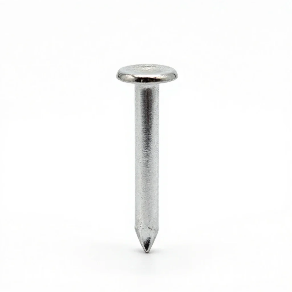 Tintack isolated on a white background