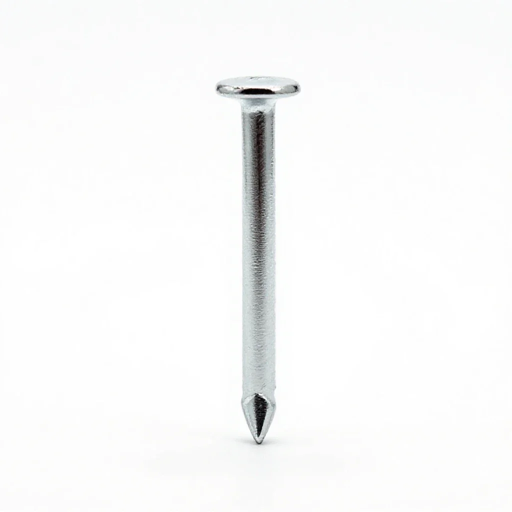 Eightpenny nail isolated on a white background