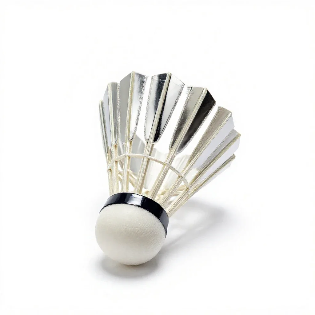 Racquetball isolated on a white background