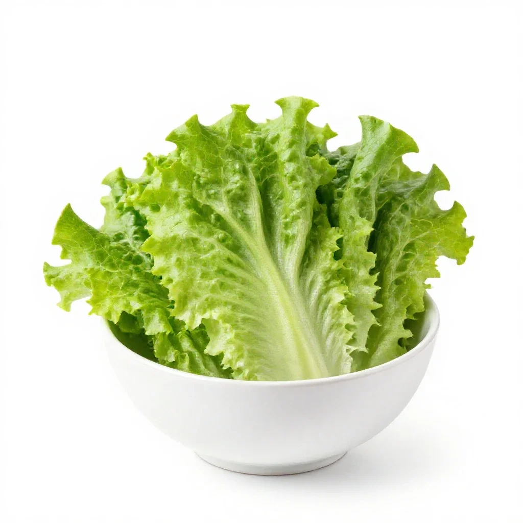 Butterhead lettuce isolated on a white background