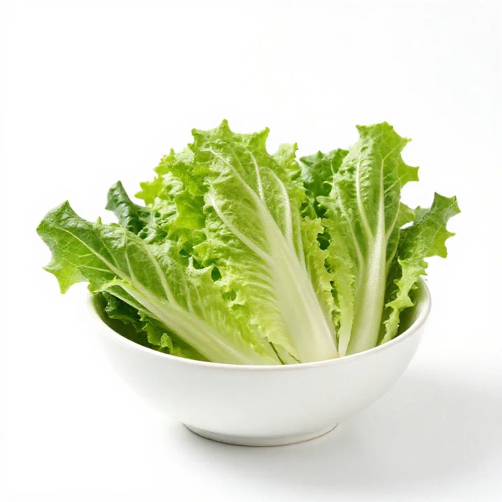 Chicory escarole isolated on a white background
