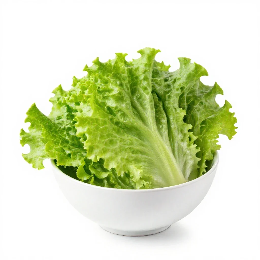 Leaf lettuce isolated on a white background
