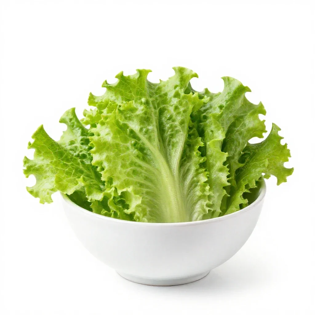 Lettuce isolated on a white background