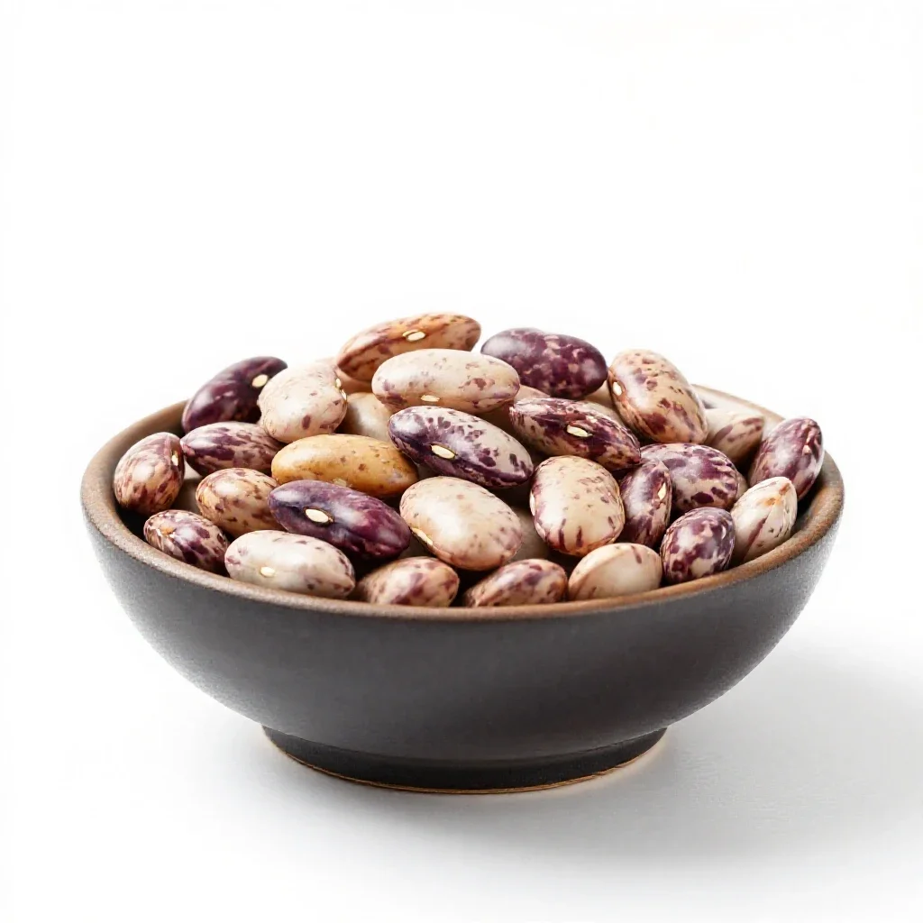 Pinto bean isolated on a white background