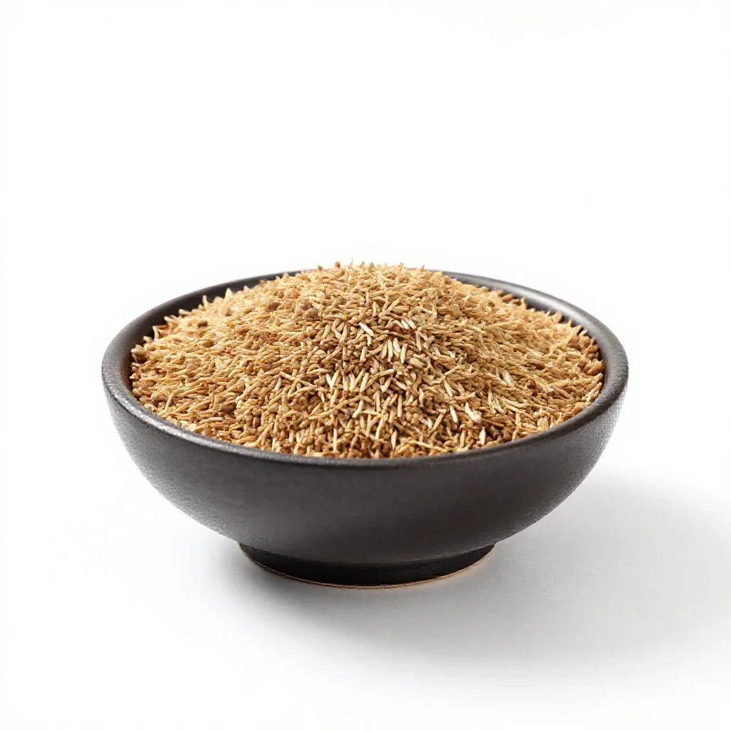 Seed isolated on a white background