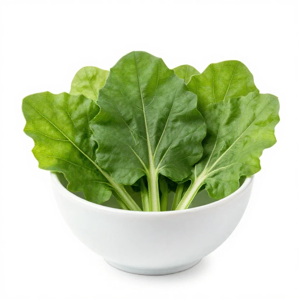 Sorrel isolated on a white background