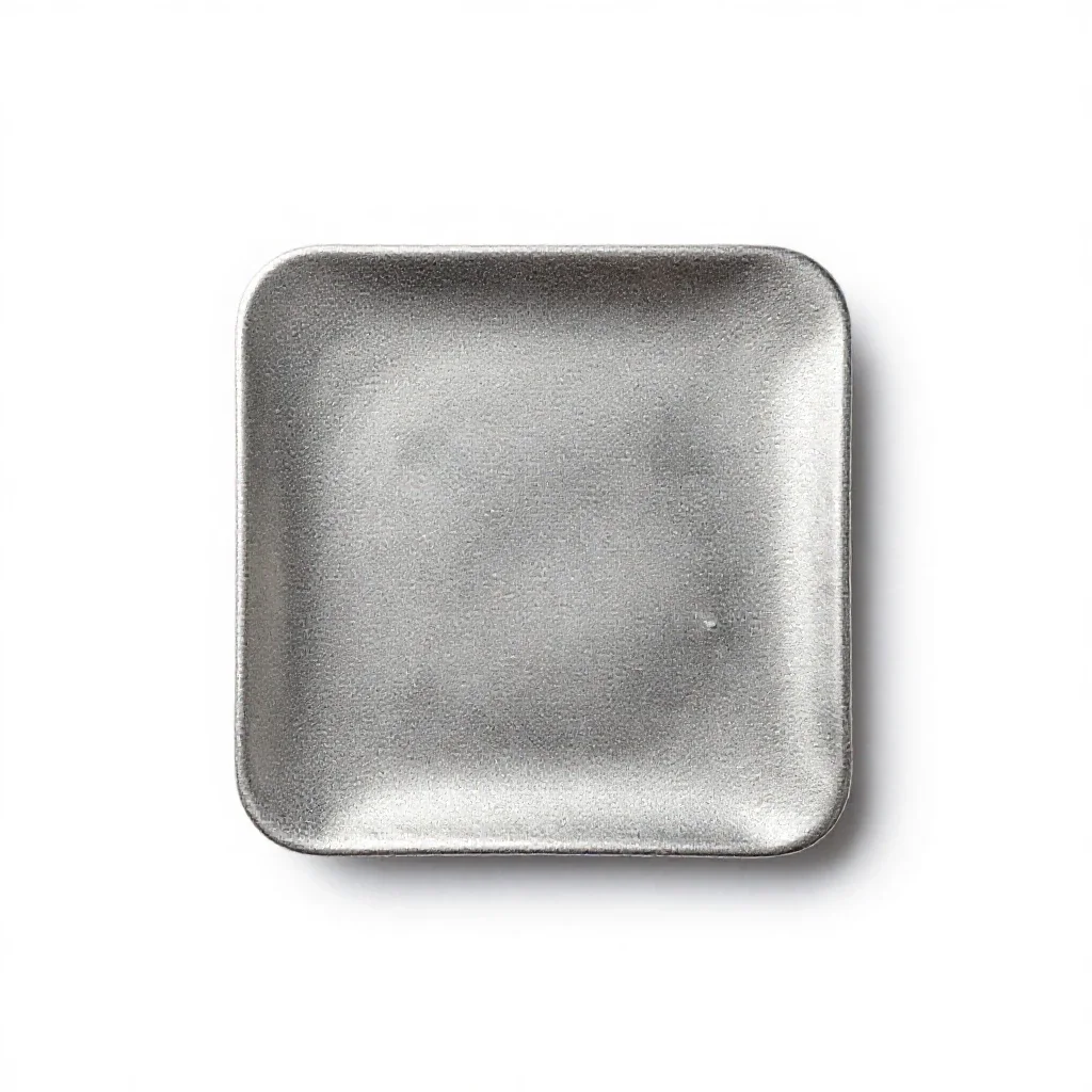 Silver wattle isolated on a white background