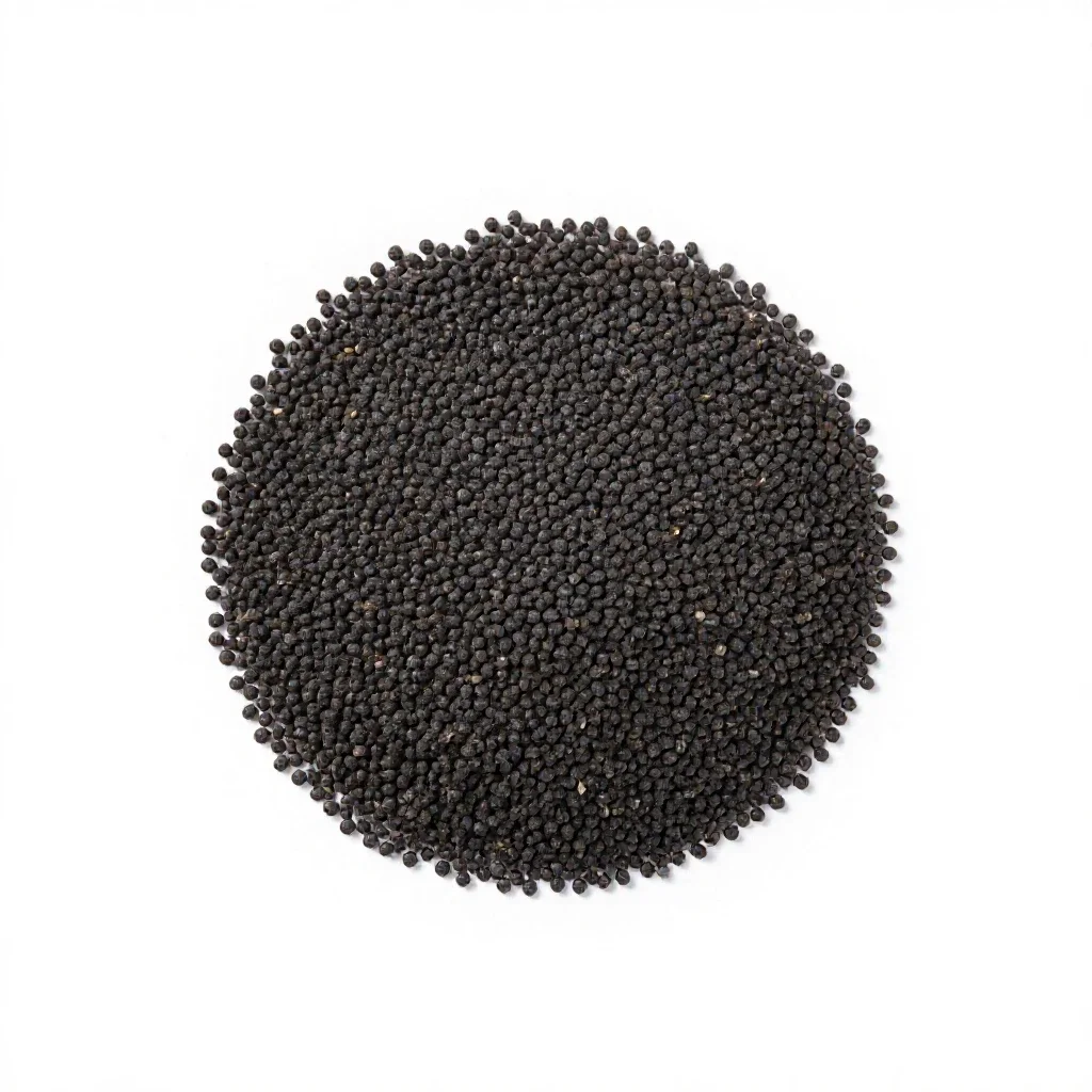 Black mustard isolated on a white background
