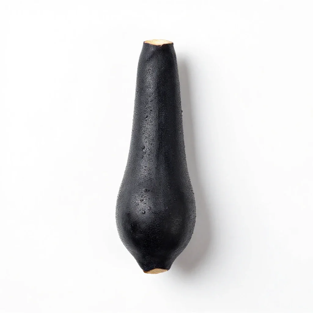 Black salsify isolated on a white background