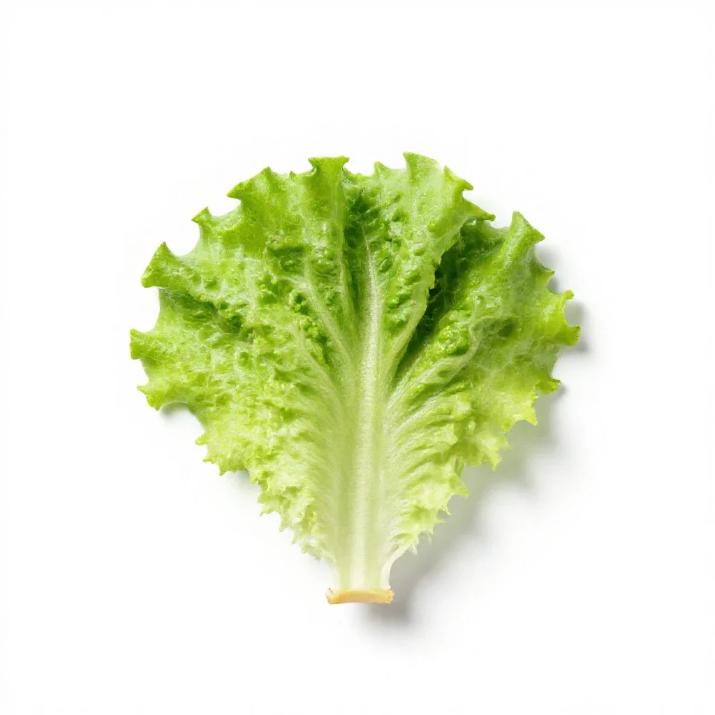 Blinks isolated on a white background