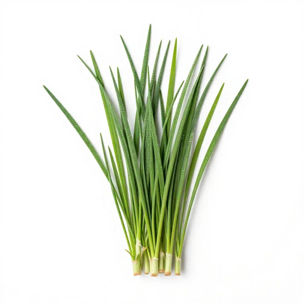 Brome isolated on a white background