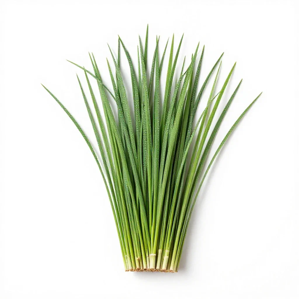 Broom grass isolated on a white background