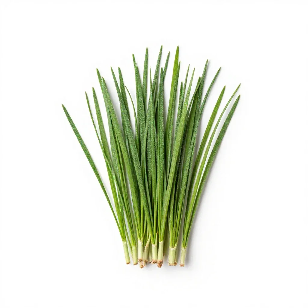 Bunchgrass isolated on a white background