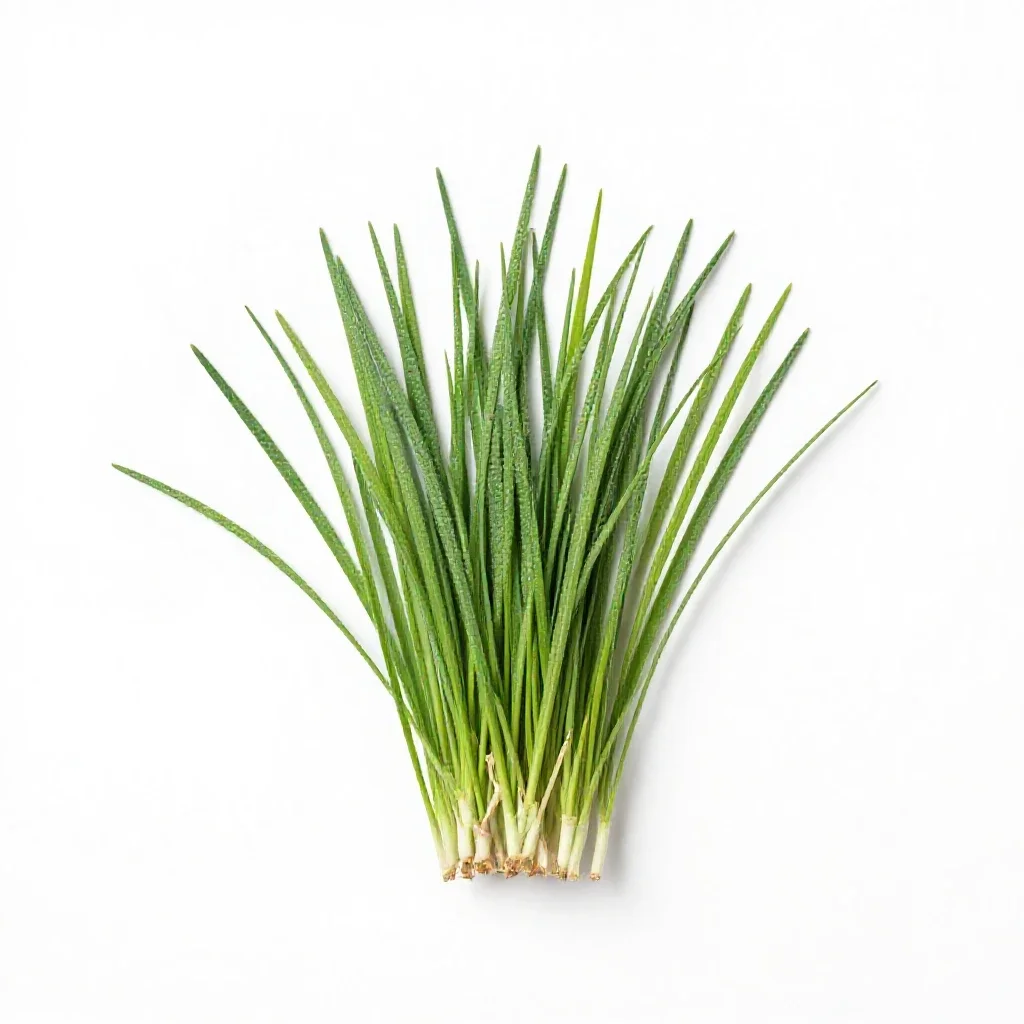 Burgrass isolated on a white background
