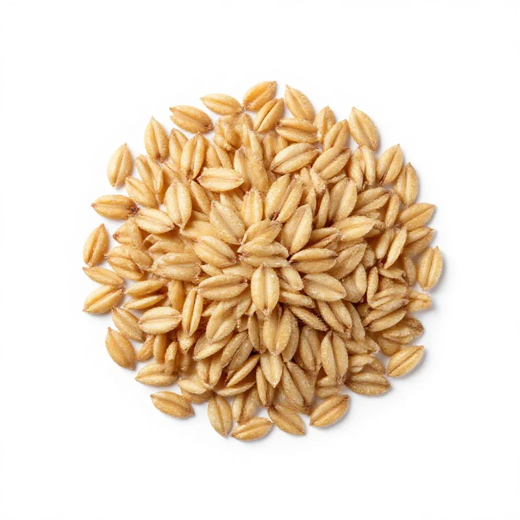 Cereal oat isolated on a white background