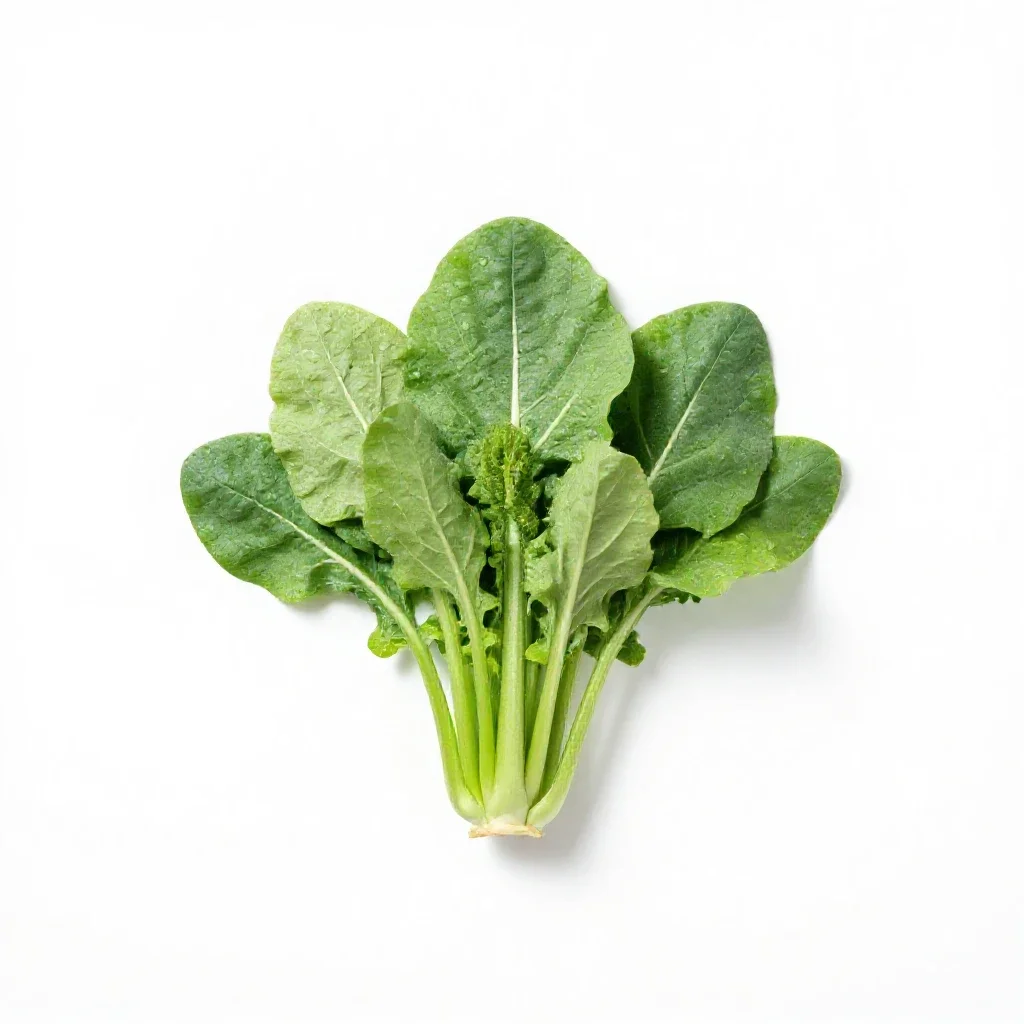 Chinese mustard isolated on a white background
