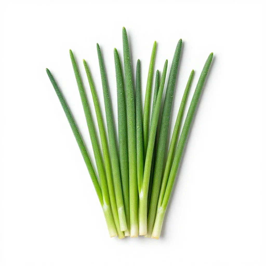 Chives isolated on a white background
