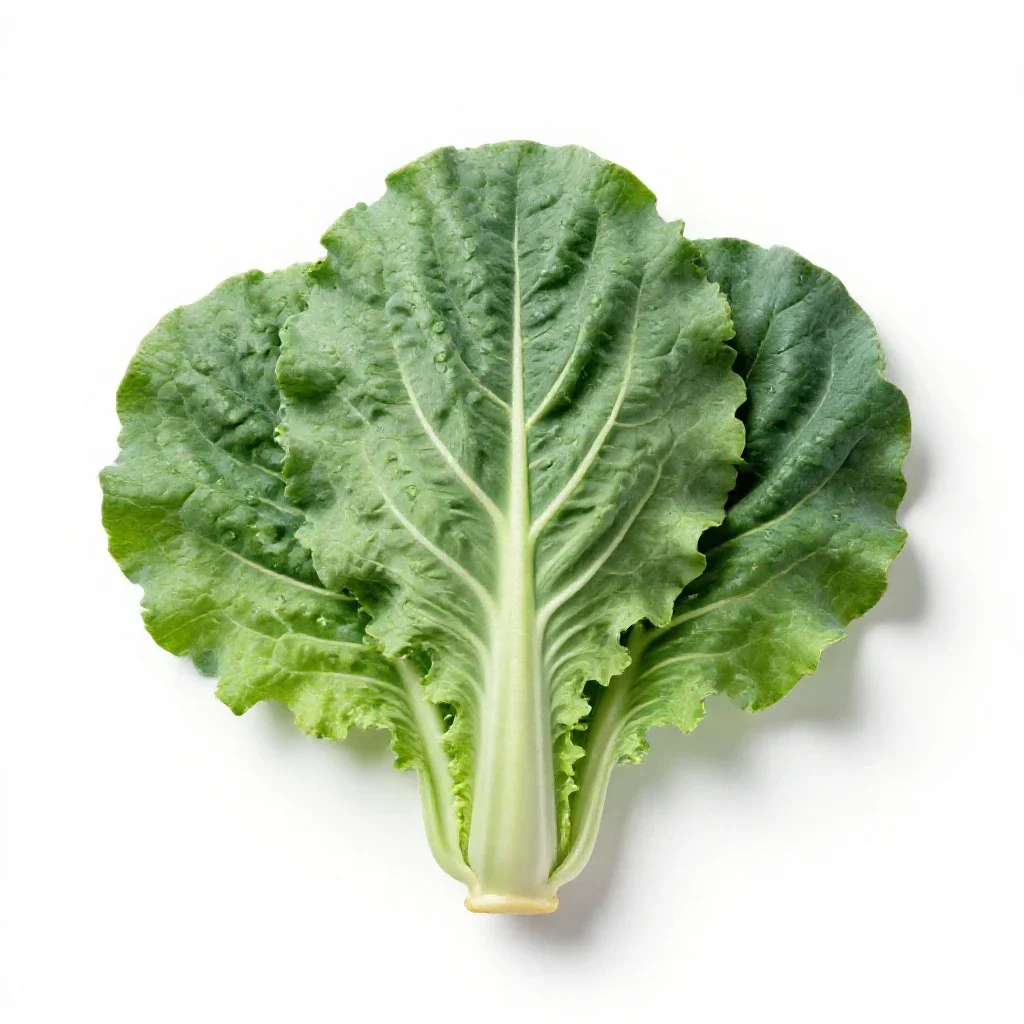 Collard isolated on a white background