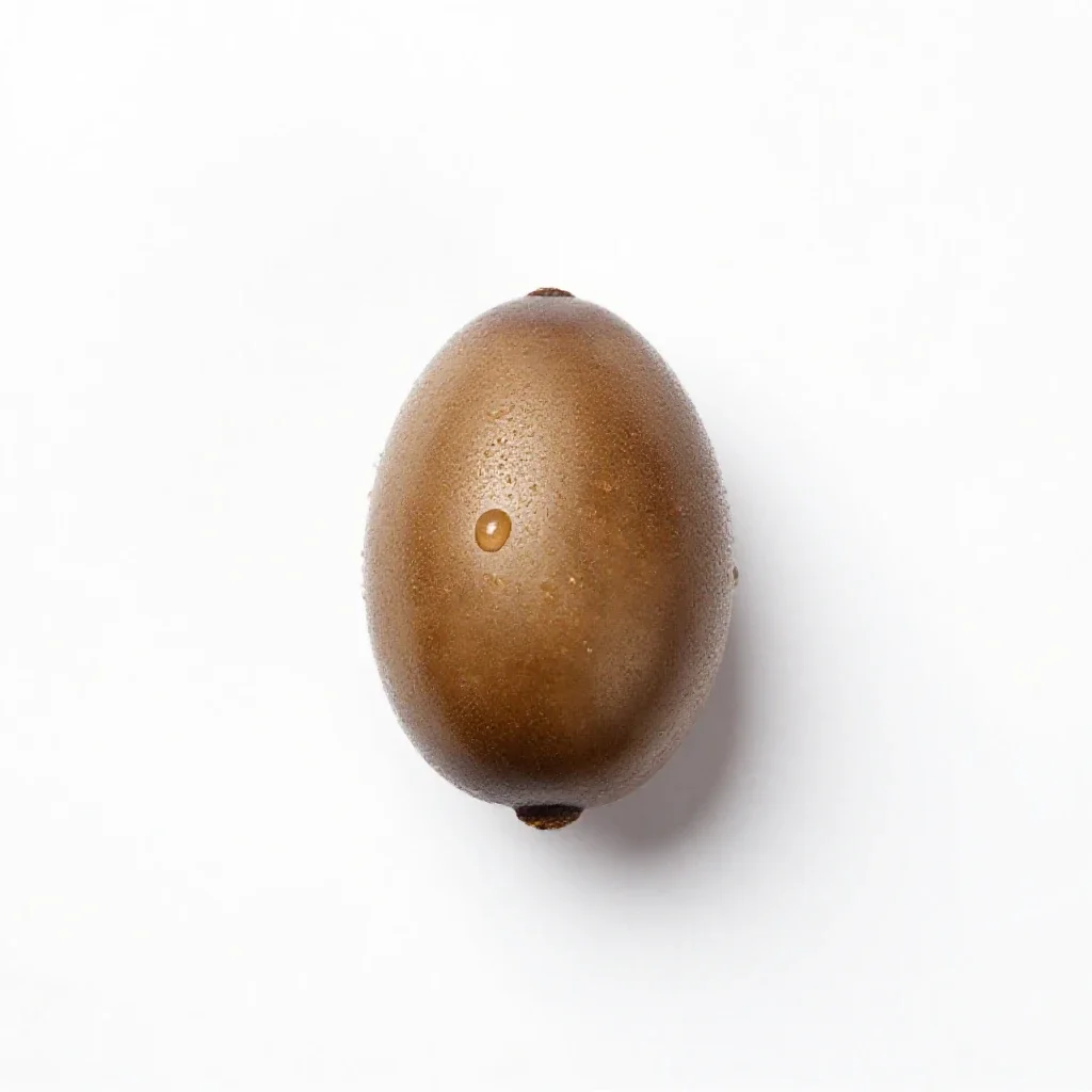 Common caper isolated on a white background