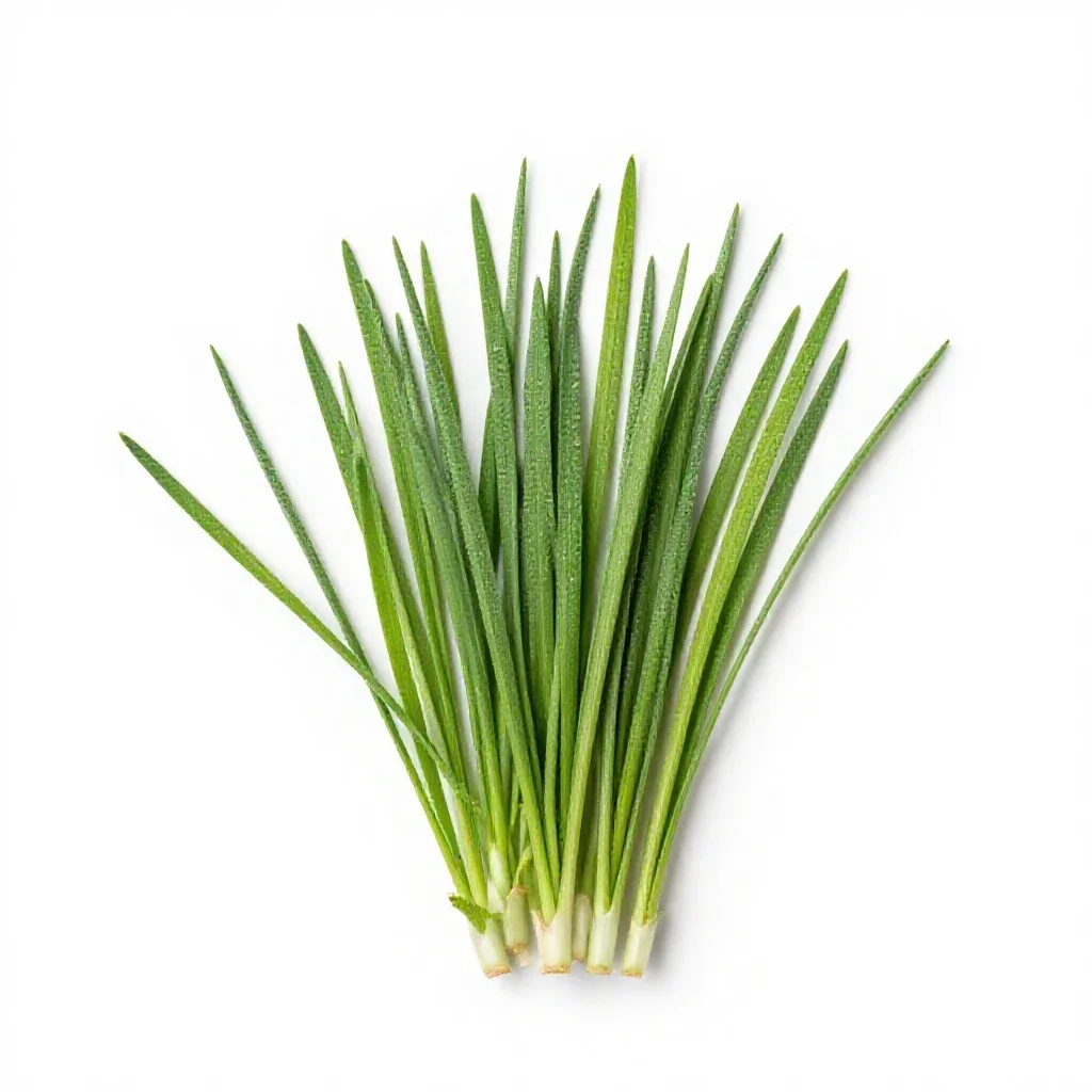 Field brome isolated on a white background