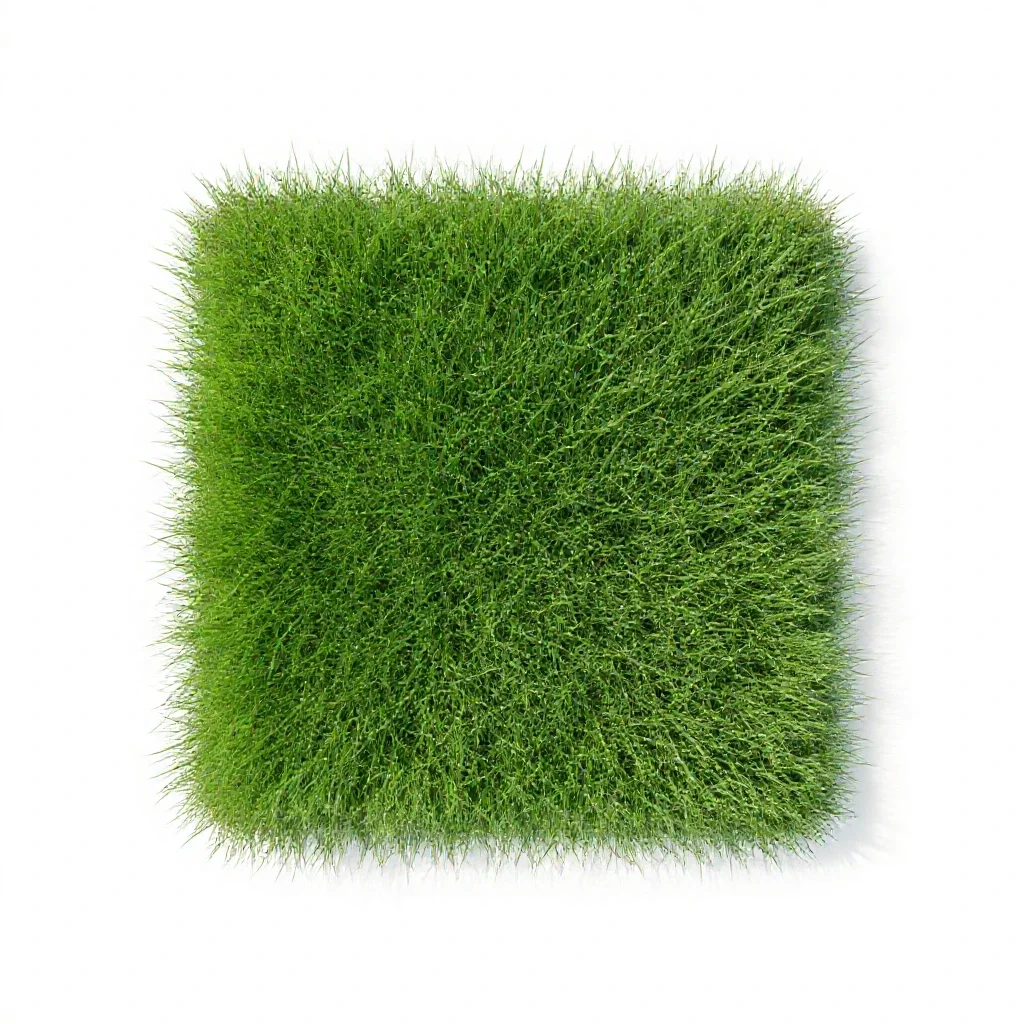 Grass isolated on a white background