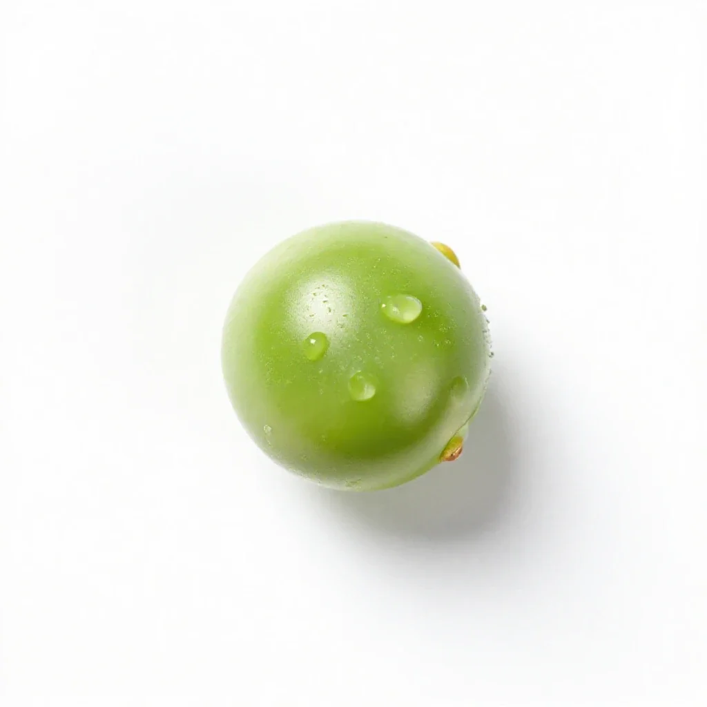 Hairy darling pea isolated on a white background