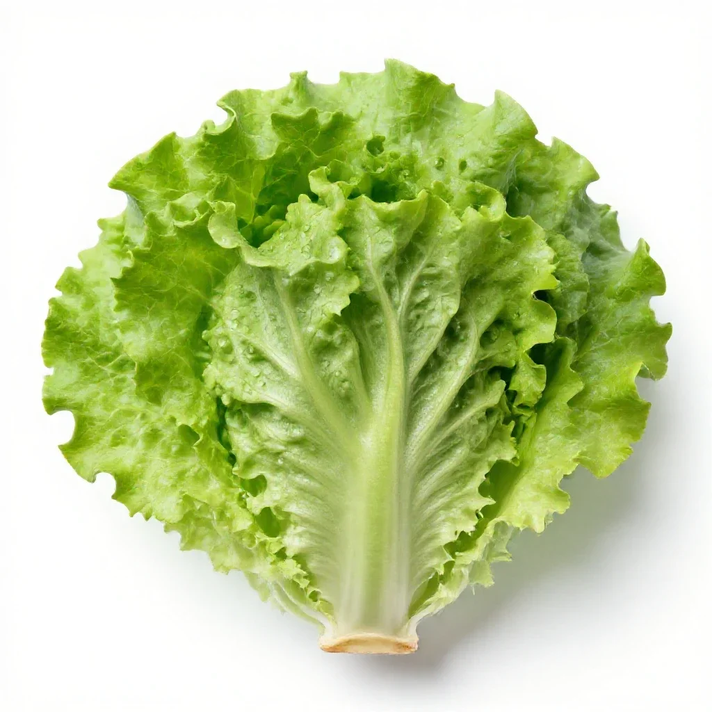 Head lettuce isolated on a white background