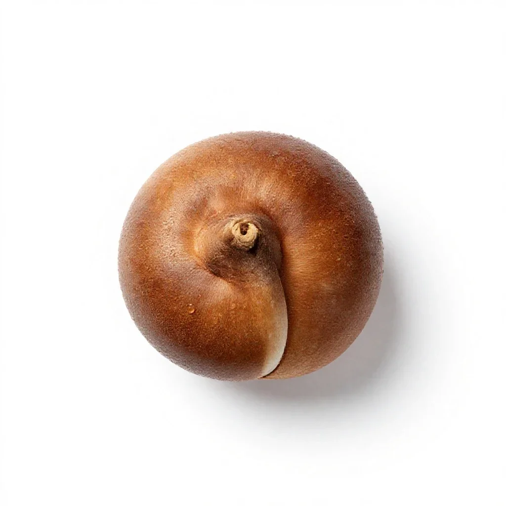 Knawel isolated on a white background