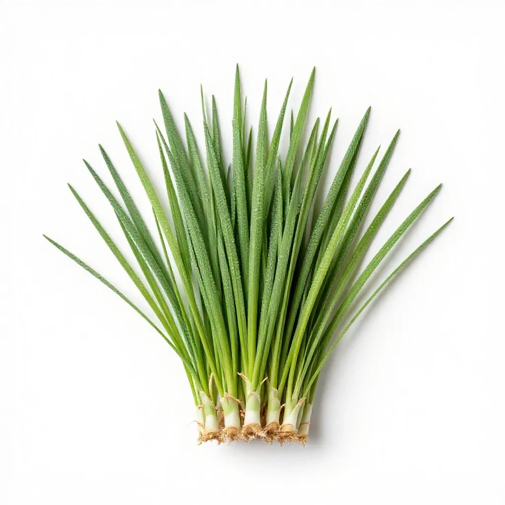 Large crabgrass isolated on a white background