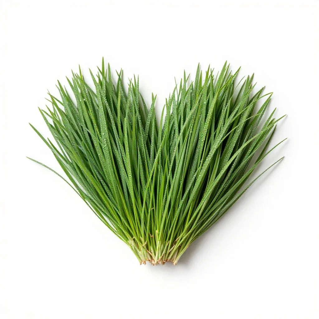 Love grass isolated on a white background