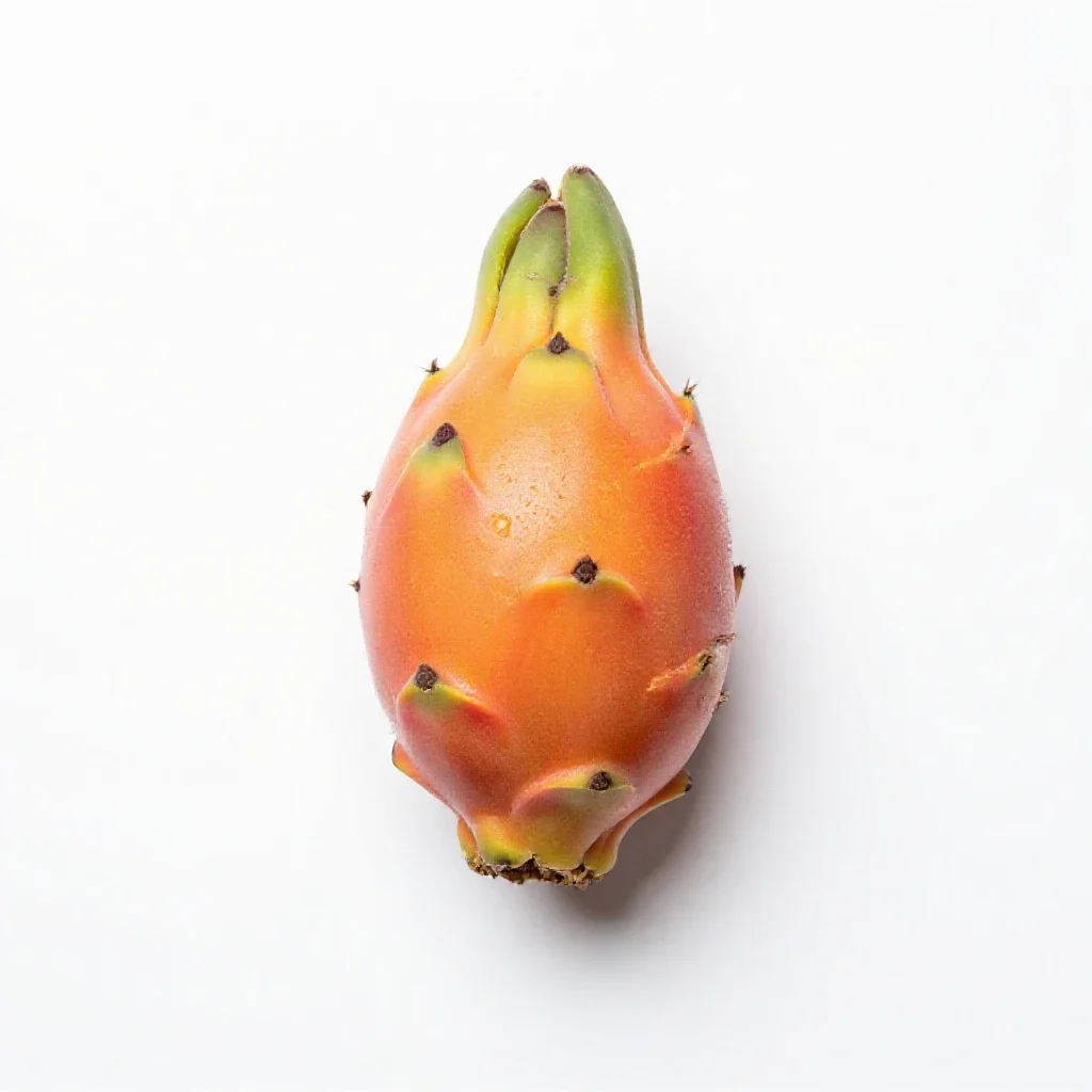 Pitahaya cactus isolated on a white background