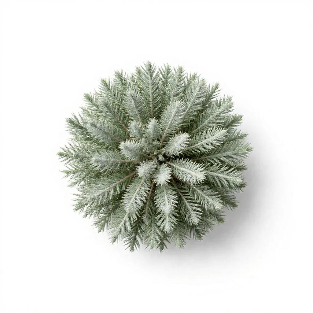 Sand sage isolated on a white background