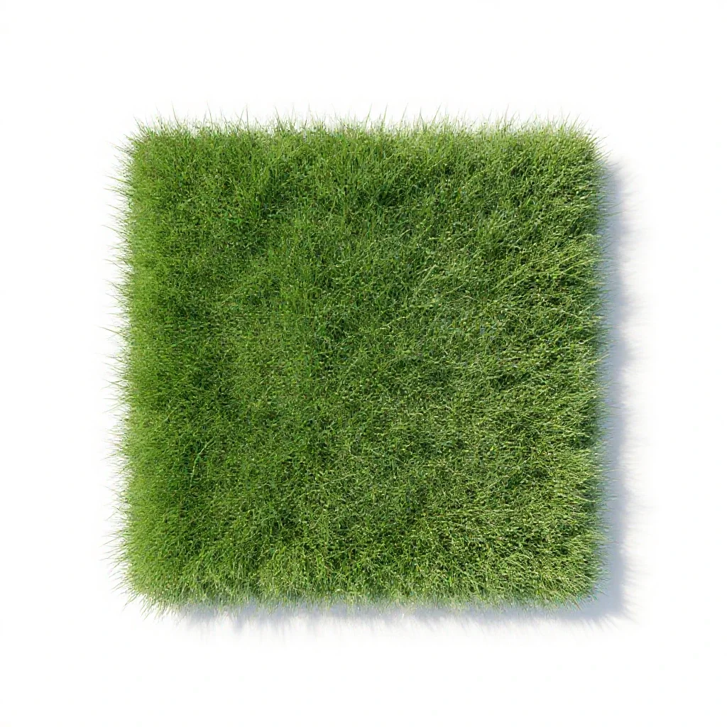 Shortgrass isolated on a white background