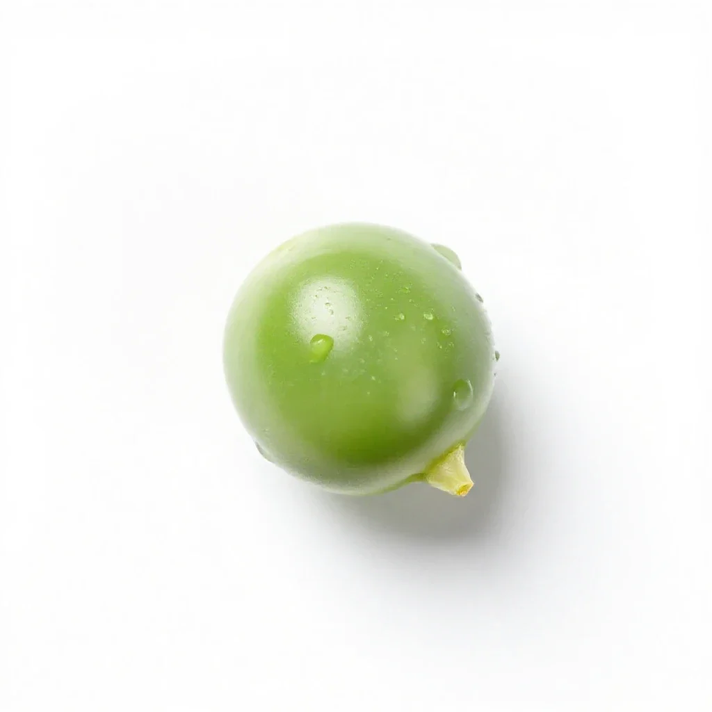 Smooth darling pea isolated on a white background