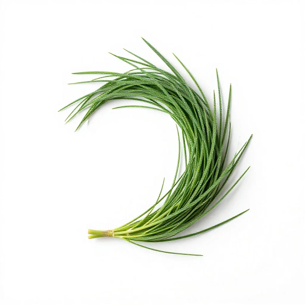 Velvet bent isolated on a white background