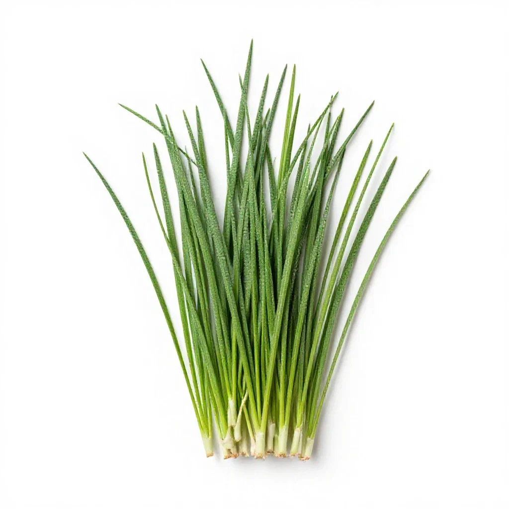 Velvet grass isolated on a white background