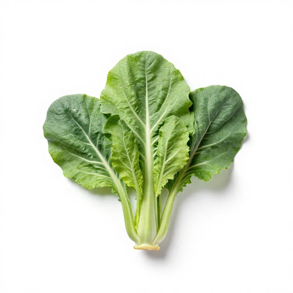 Wild cabbage isolated on a white background