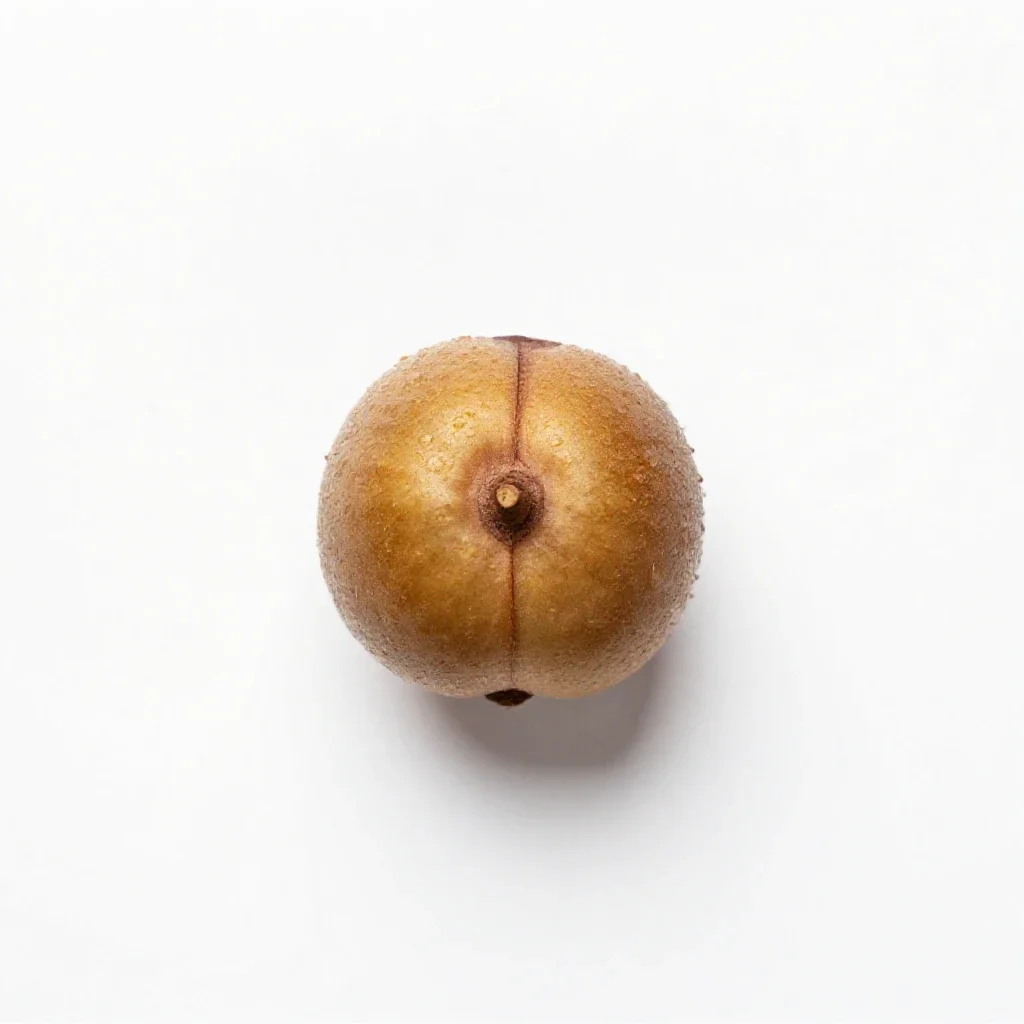 Cobnut isolated on a white background