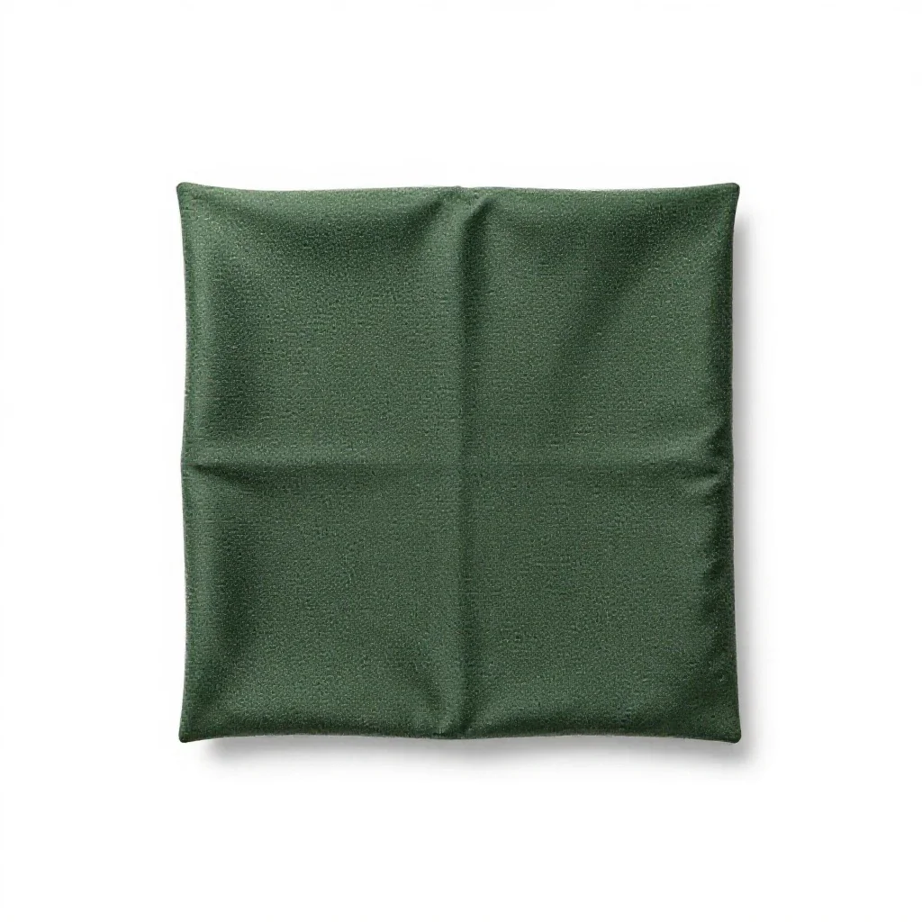 Dhak isolated on a white background