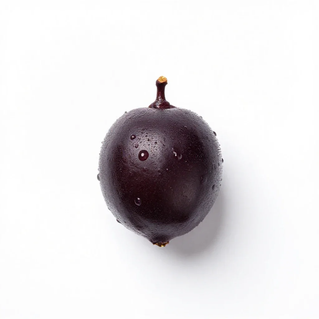 Hackberry isolated on a white background